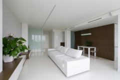 techniartwhite2