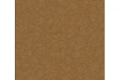 brown-600x800-290x290