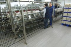 k640_egg-grading-company-495x400